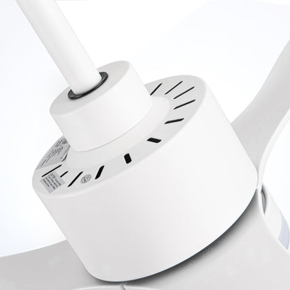 Ventilateur de plafond LED 52 pouces avec télécommande et éclairage (3 pales)