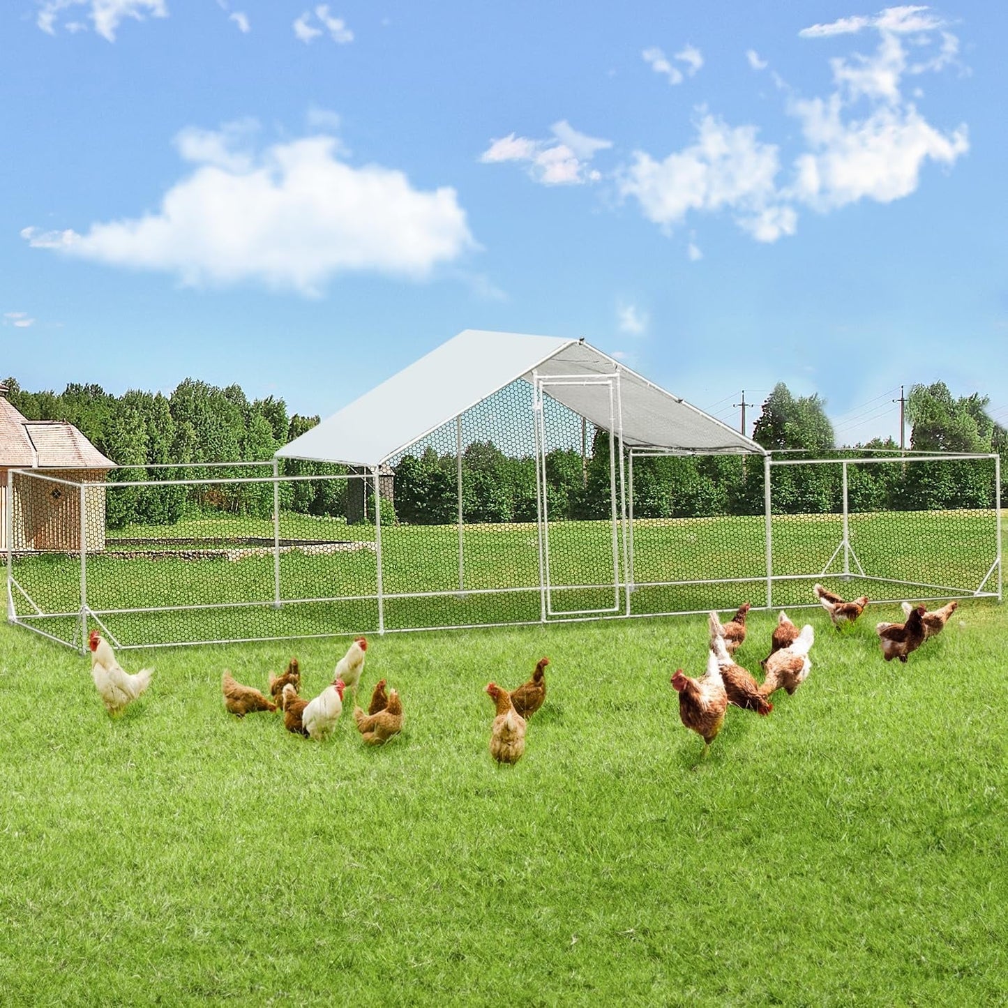 AECOJOY Grand poulailler métallique avec enclos et cage à poules accessibles à pied