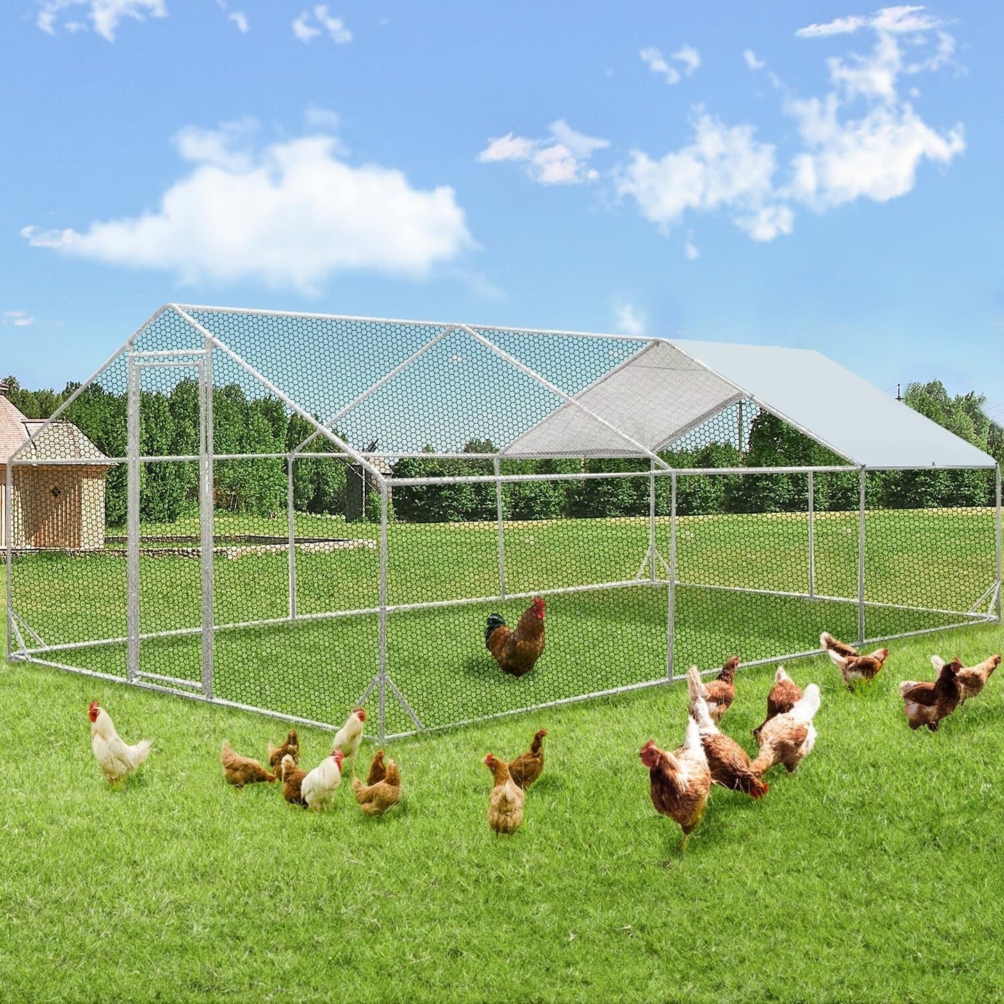 AECOJOY Grand poulailler métallique avec enclos et cage à poules accessibles à pied