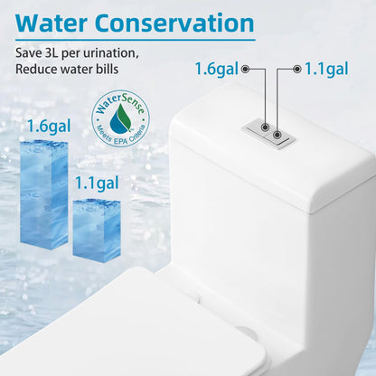 WC monobloc compact CB HOME 61 cm (24 po), double chasse d'eau, modèle moderne à siphon, avec abattant à fermeture ralentie et hauteur confort de 42 cm (16,5 po).