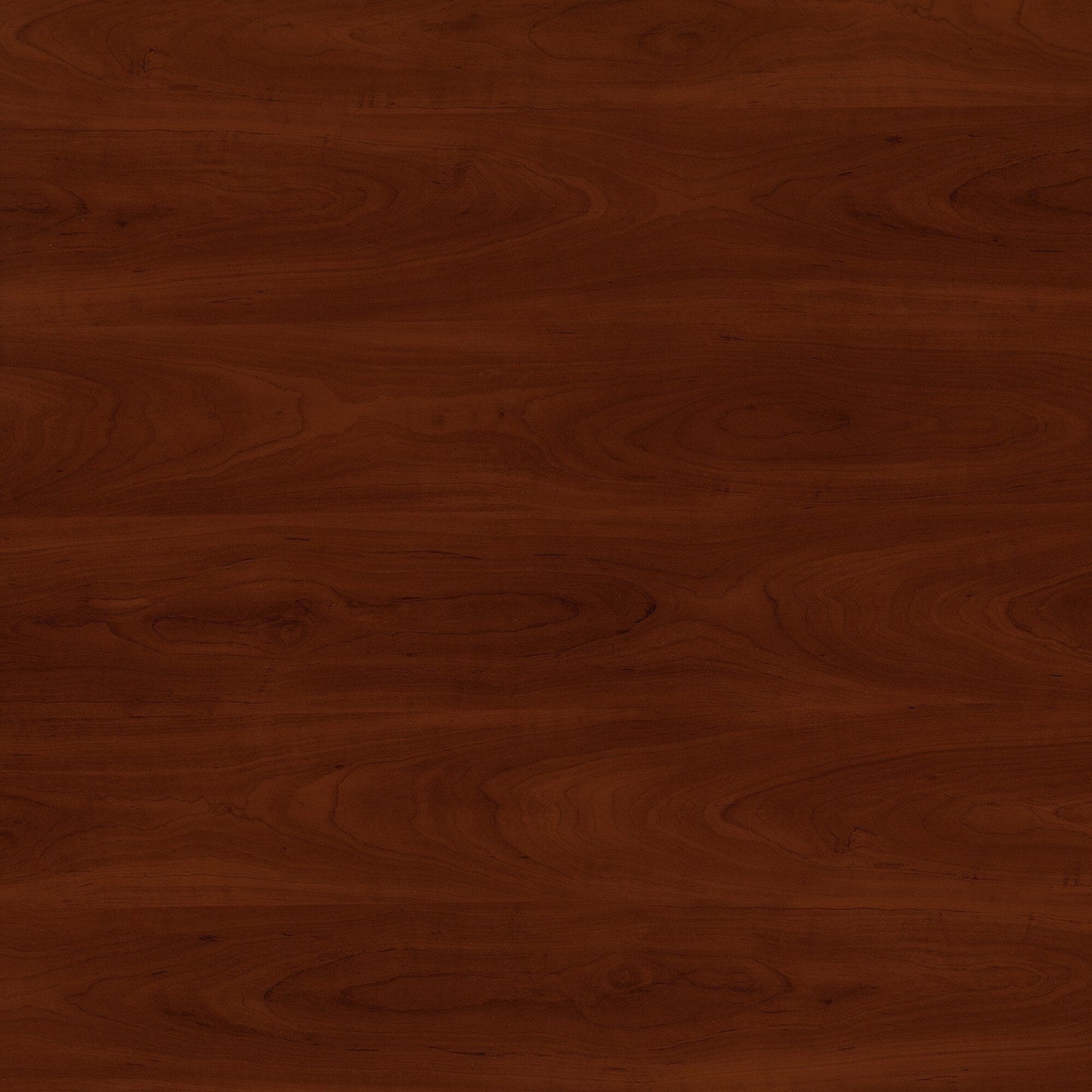 Armoire de rangement Fairview avec portes et étagères de Bush Furniture - 80,5 cm (L) x 32,4 cm (l) x 78 cm (H)