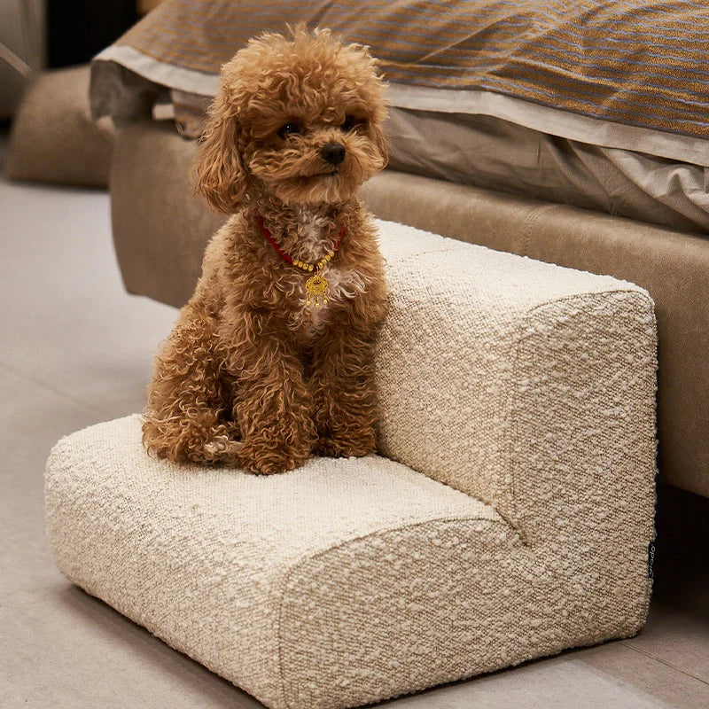 Escaliers cubiques pour animaux de compagnie