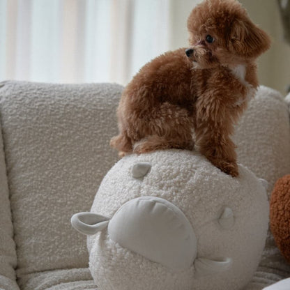 Coussin Mouton Bêêê