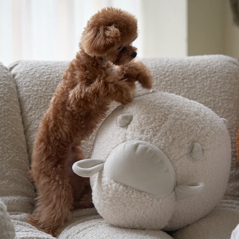 Coussin Mouton Bêêê