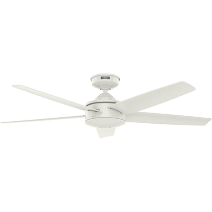 Ventilateur de plafond intérieur/extérieur Hunter 52 Shorebreak WeatherMax avec commande murale - Résistant aux intempéries extrêmes, au sel et à la corrosion