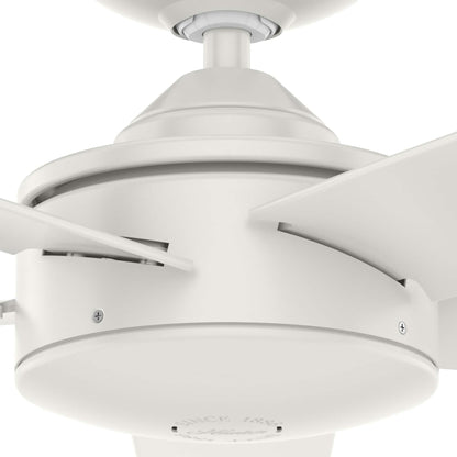 Ventilateur de plafond intérieur/extérieur Hunter 52 Shorebreak WeatherMax avec commande murale - Résistant aux intempéries extrêmes, au sel et à la corrosion