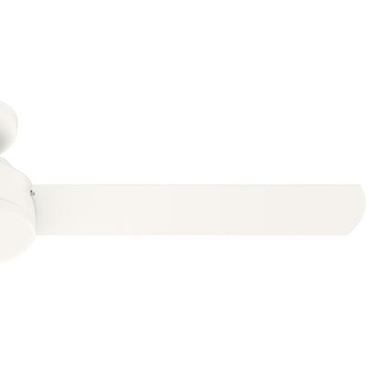 Pergola extérieure en acier de 3 m x 4 m, tonnelle avec trous de drainage pour terrasse, piscine et jardin.