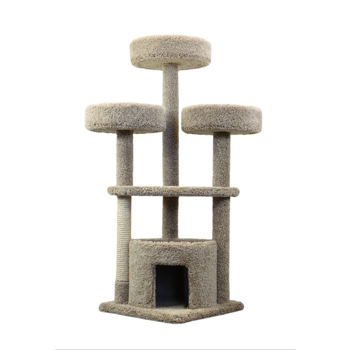 Nouveaux condos pour chats, grande maison pour chats