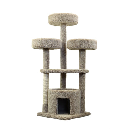 Nouveaux condos pour chats, grande maison pour chats