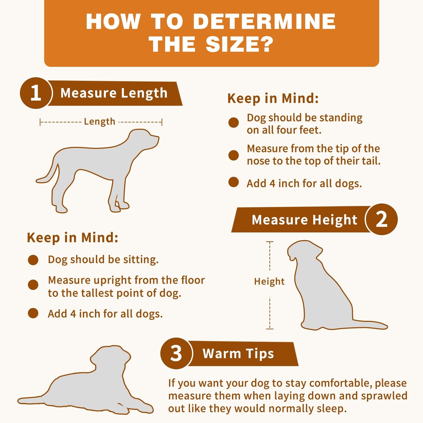 Cage pour chien élégante et robuste avec renfort en tubes de fer