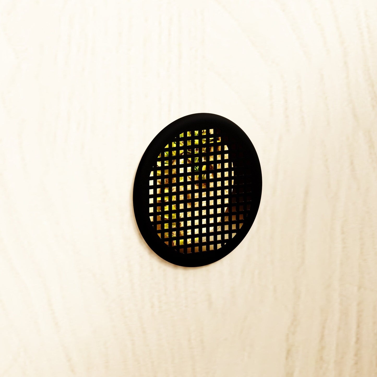 Habitat pour reptiles - Terrarium spacieux pour lézards, serpents et autres - 47,2