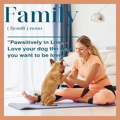 Station d'alimentation pour chiens Roomfitters avec 2 gamelles surélevées, meuble d'alimentation inclinable pour animaux de compagnie