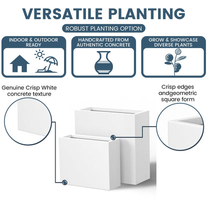 Jardinières rectangulaires hautes en béton / Grands bacs à fleurs d'intérieur et d'extérieur