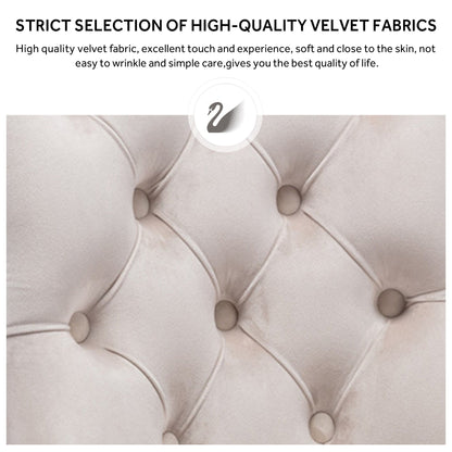 Ensemble de 6 chaises de salle à manger capitonnées en velours avec pieds en bois massif