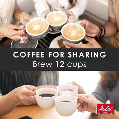 Cafetière à filtre Vision Luxe 12 tasses avec tableau de bord pivotant