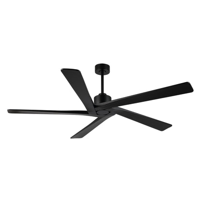 Ventilateur de plafond intérieur WINGBO 54 pouces à moteur CC sans éclairage - Non disponible
